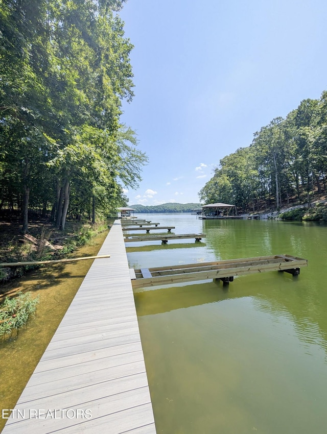Emerald Pointe, Rockwood, TN 37854 - photo 3
