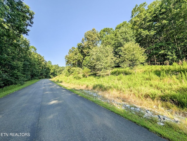 Emerald Pointe, Rockwood, TN 37854 - photo 5