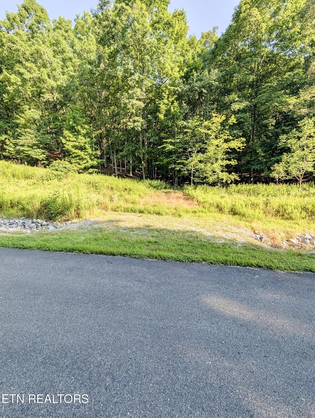 Emerald Pointe, Rockwood, TN 37854 - photo 6
