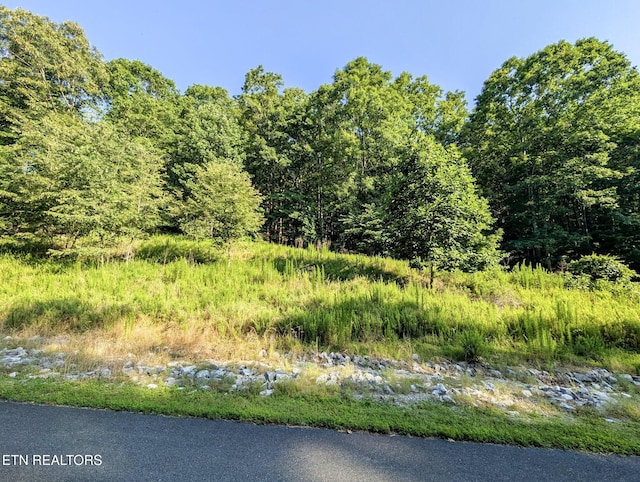 Emerald Pointe, Rockwood, TN 37854 - photo 7