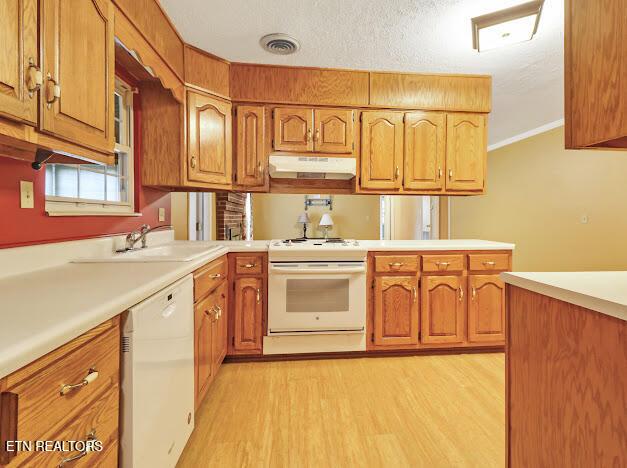 421 Warrior Ln, Harriman, TN 37748 - photo 23
