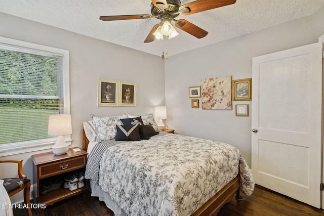 116 Holston Ct, Knoxville, TN 37914 - photo 21