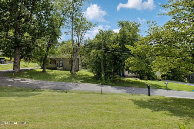 116 Holston Ct, Knoxville, TN 37914 - photo 43