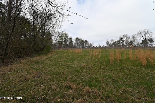 58.5ACRES Greenlee Rd, Rutledge, TN 37861 - photo 4