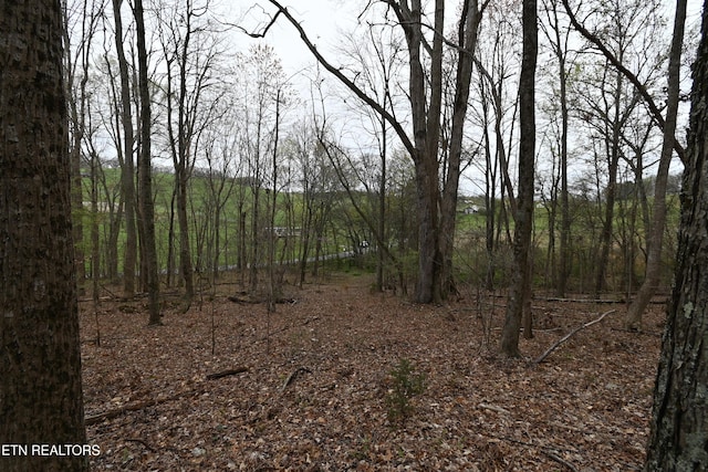 58.5ACRES Greenlee Rd, Rutledge, TN 37861 - photo 5