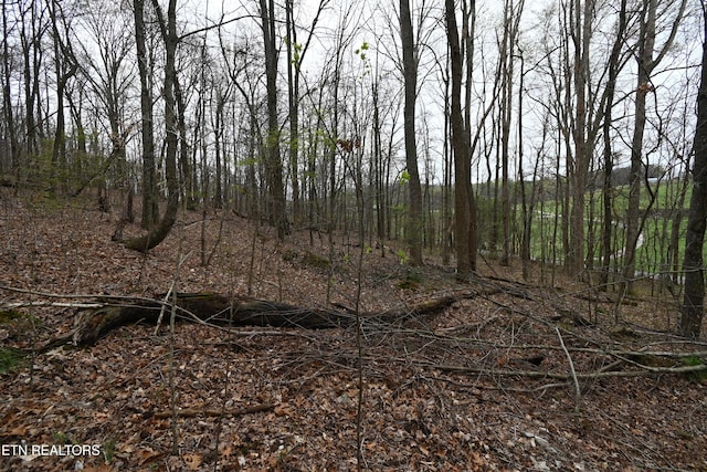 58.5ACRES Greenlee Rd, Rutledge, TN 37861 - photo 6