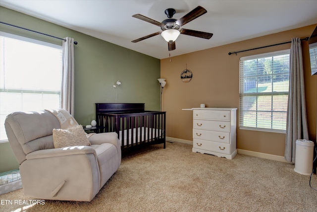 1310 Marble Hill Rd, Friendsville, TN 37737 - photo 15