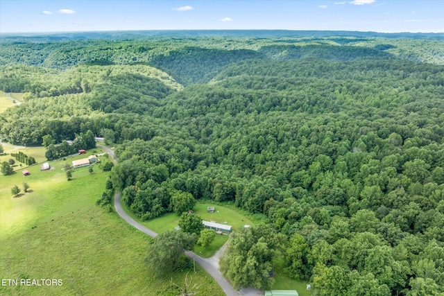 2881 Sugar Creek Rd, Gainesboro, TN 38562 - photo 27