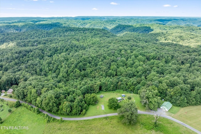 2881 Sugar Creek Rd, Gainesboro, TN 38562 - photo 28