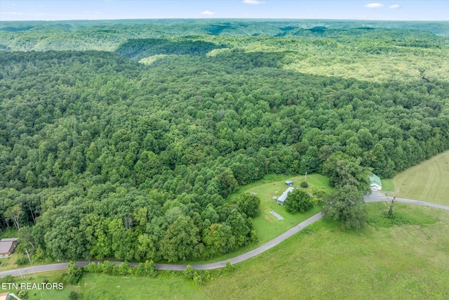2881 Sugar Creek Rd, Gainesboro, TN 38562 - photo 29