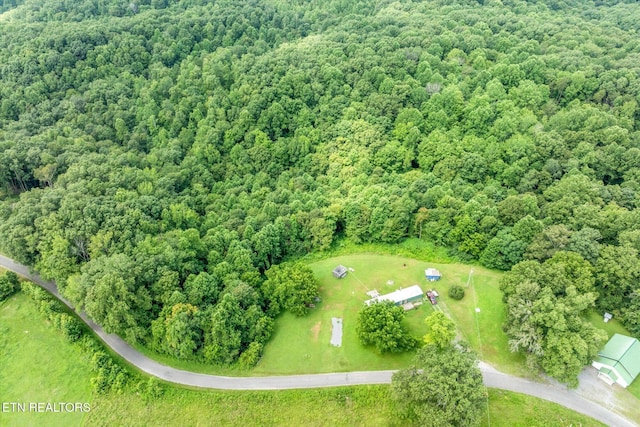 2881 Sugar Creek Rd, Gainesboro, TN 38562 - photo 26