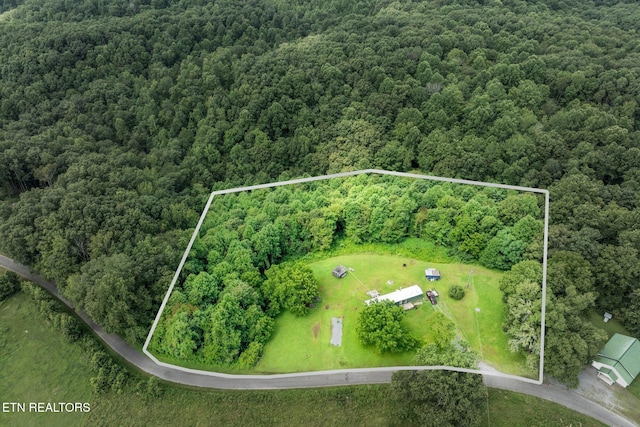 2881 Sugar Creek Rd, Gainesboro, TN 38562 - photo 2