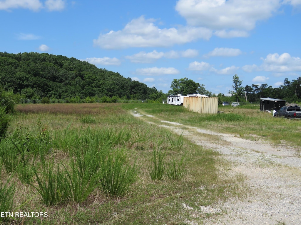 8301 Jackson Bend Rd, Lenoir City, TN 37772 - photo 3