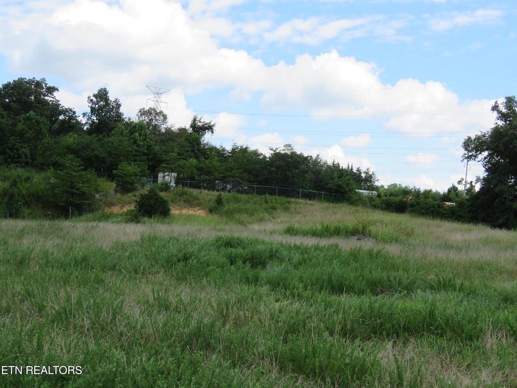 8301 Jackson Bend Rd, Lenoir City, TN 37772 - photo 4