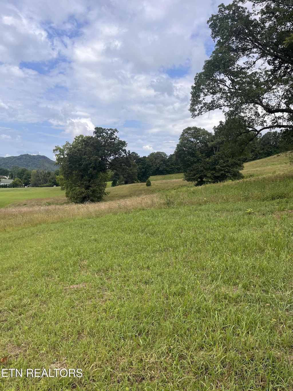 Dayflower Way, Maynardville, TN 37807 - photo 1