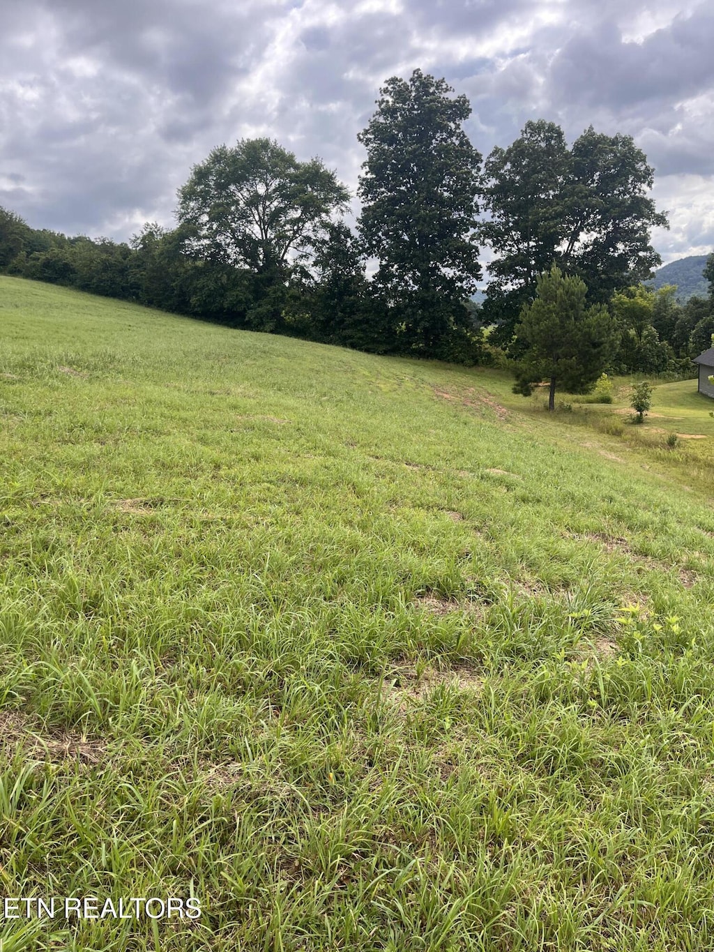 Dayflower Way, Maynardville, TN 37807 - photo 2