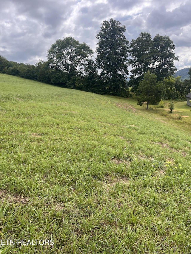 Dayflower Way, Maynardville, TN 37807 - photo 2
