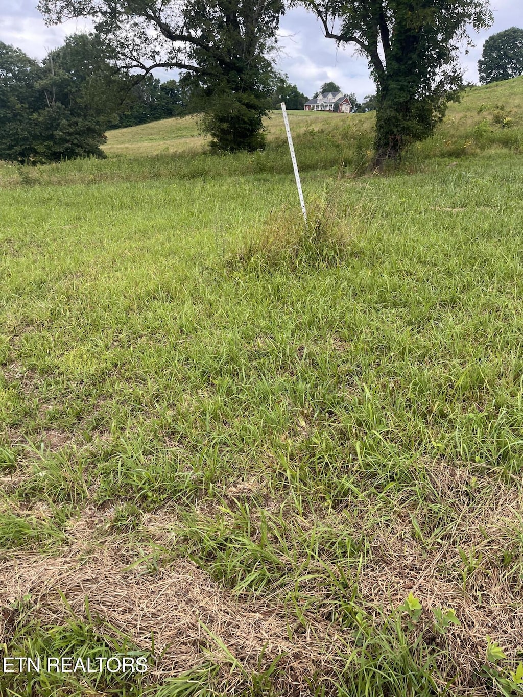 Dayflower Way, Maynardville, TN 37807 - photo 3