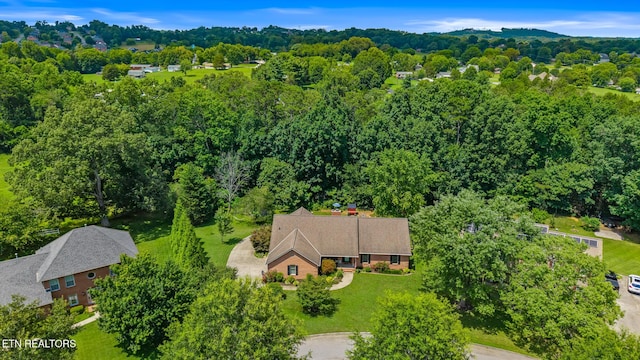 3720 Whitworth Dr, Knoxville, TN 37938 - photo 53