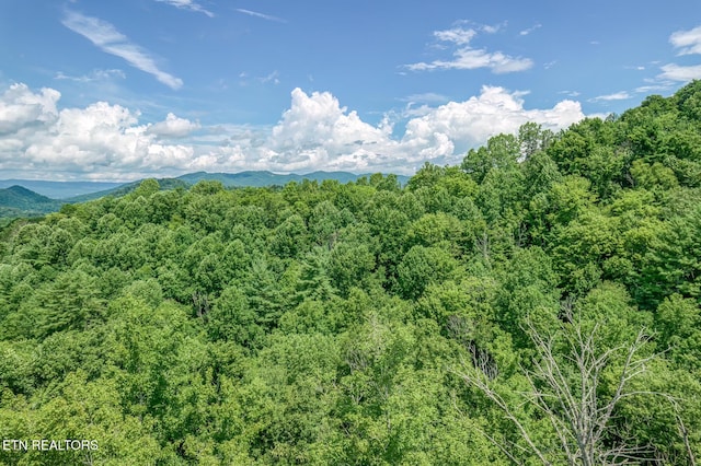 758 Culbertson Ln, Mountain City, TN 37683 - photo 49
