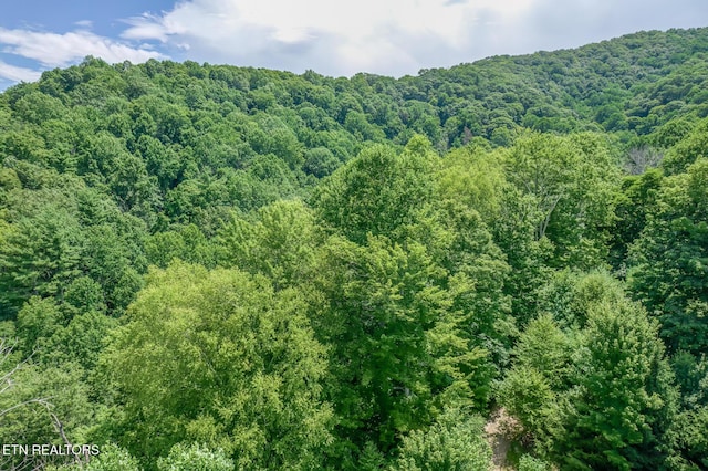 758 Culbertson Ln, Mountain City, TN 37683 - photo 50