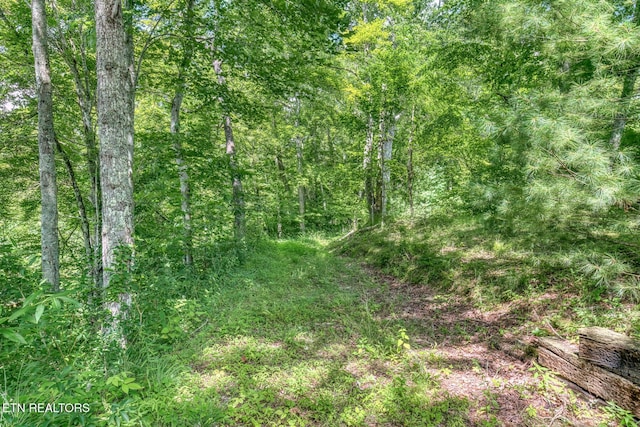 758 Culbertson Ln, Mountain City, TN 37683 - photo 51