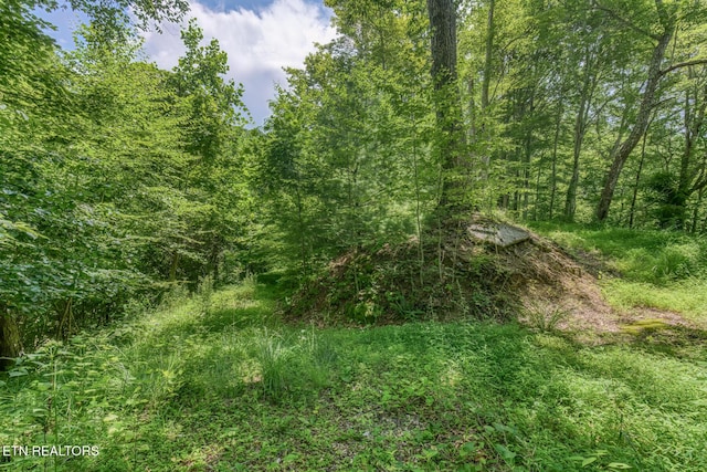 758 Culbertson Ln, Mountain City, TN 37683 - photo 53