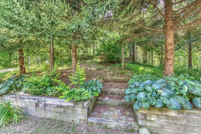 758 Culbertson Ln, Mountain City, TN 37683 - photo 60