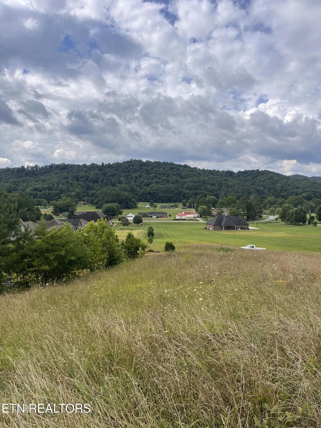 Valerie Ln, Maynardville, TN 37807 - photo 5