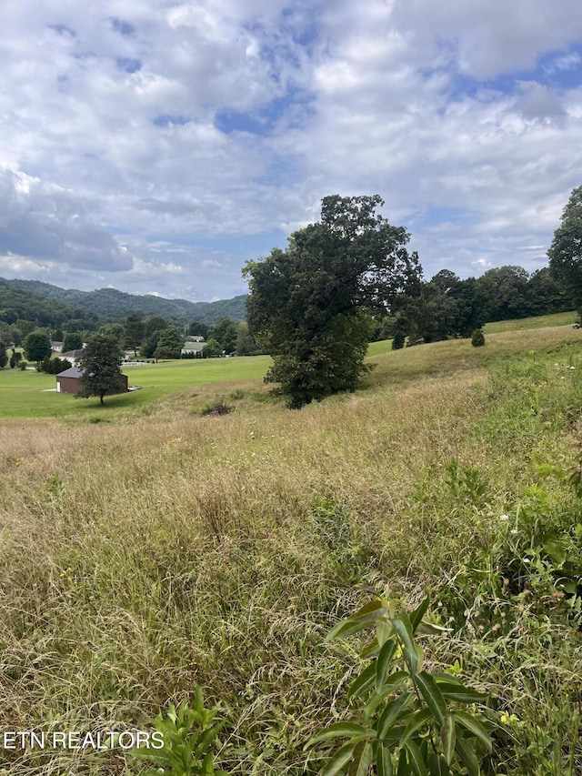 Valerie Ln, Maynardville, TN 37807 - photo 6