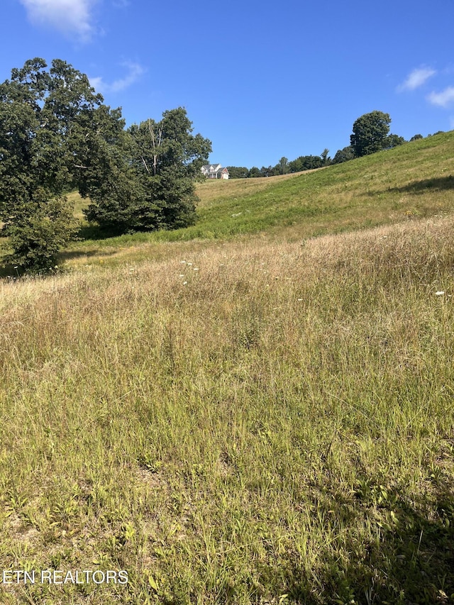 Valerie Ln, Maynardville, TN 37807 - photo 11