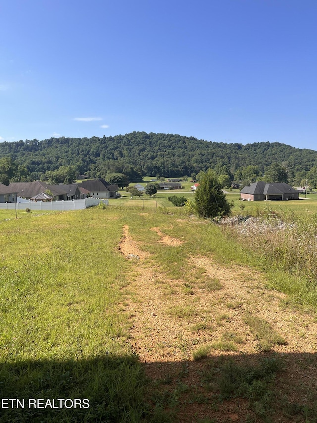 Valerie Ln, Maynardville, TN 37807 - photo 12