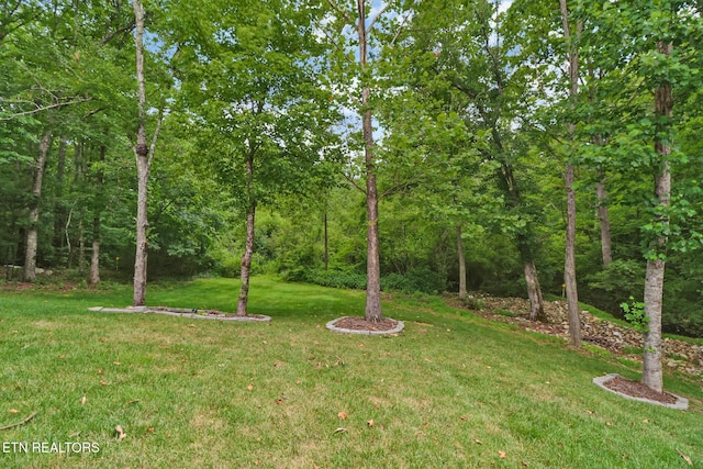 126 Russell Ln, Crossville, TN 38555 - photo 37