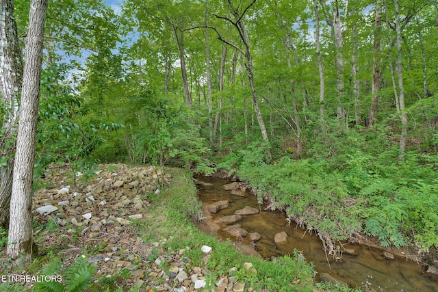 126 Russell Ln, Crossville, TN 38555 - photo 36