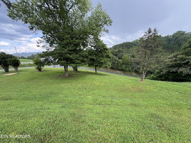 3126 Pickel Dr, Pigeon Forge, TN 37863 - photo 4