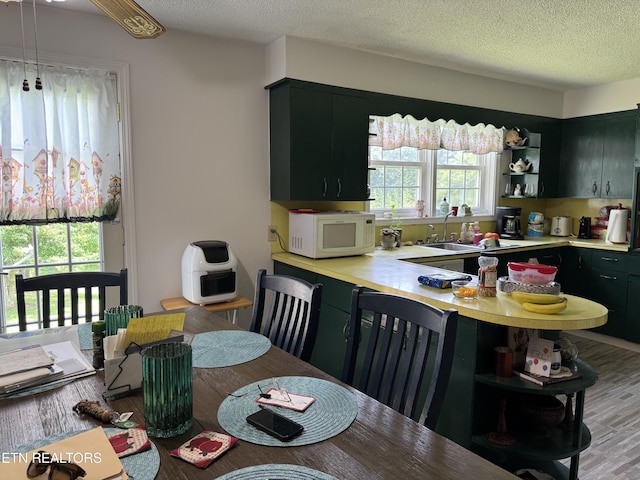 3126 Pickel Dr, Pigeon Forge, TN 37863 - photo 19