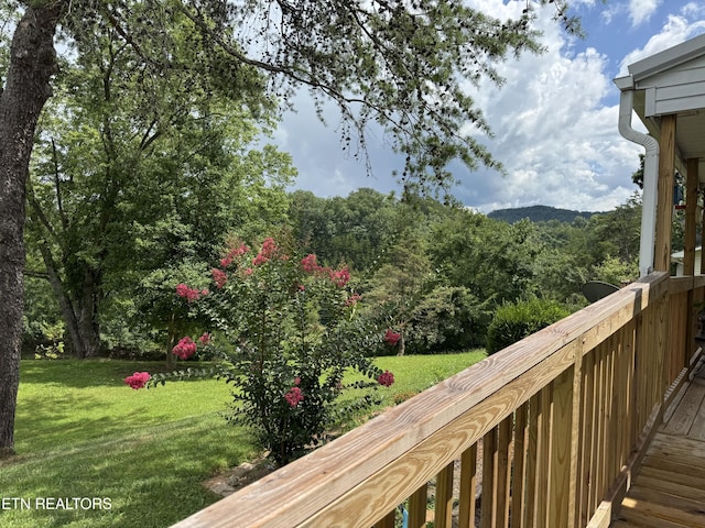 3126 Pickel Dr, Pigeon Forge, TN 37863 - photo 40