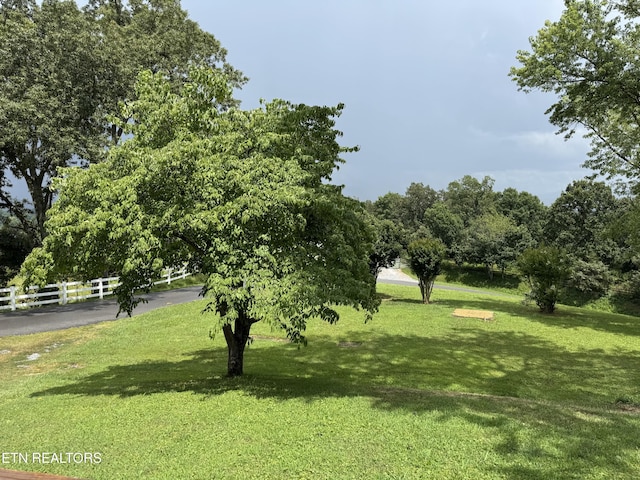 3126 Pickel Dr, Pigeon Forge, TN 37863 - photo 43