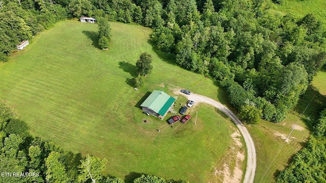 6554 Grave Hill Rd, Oneida, TN 37841 - photo 4
