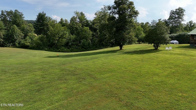 6554 Grave Hill Rd, Oneida, TN 37841 - photo 26