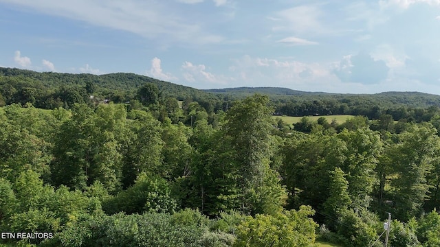 6554 Grave Hill Rd, Oneida, TN 37841 - photo 27