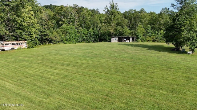 6554 Grave Hill Rd, Oneida, TN 37841 - photo 30