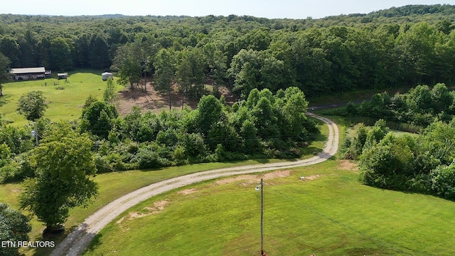 6554 Grave Hill Rd, Oneida, TN 37841 - photo 33