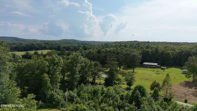 6554 Grave Hill Rd, Oneida, TN 37841 - photo 34