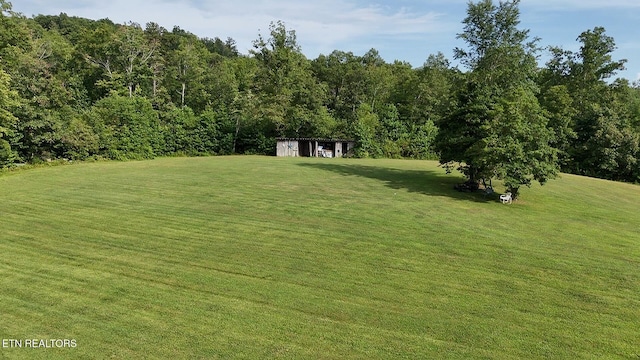 6554 Grave Hill Rd, Oneida, TN 37841 - photo 36