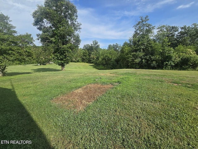 6554 Grave Hill Rd, Oneida, TN 37841 - photo 38