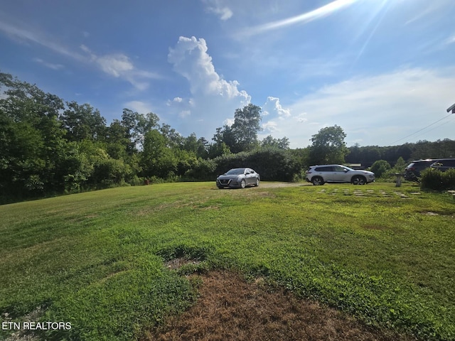 6554 Grave Hill Rd, Oneida, TN 37841 - photo 39