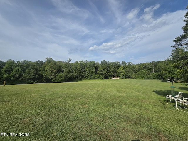 6554 Grave Hill Rd, Oneida, TN 37841 - photo 40