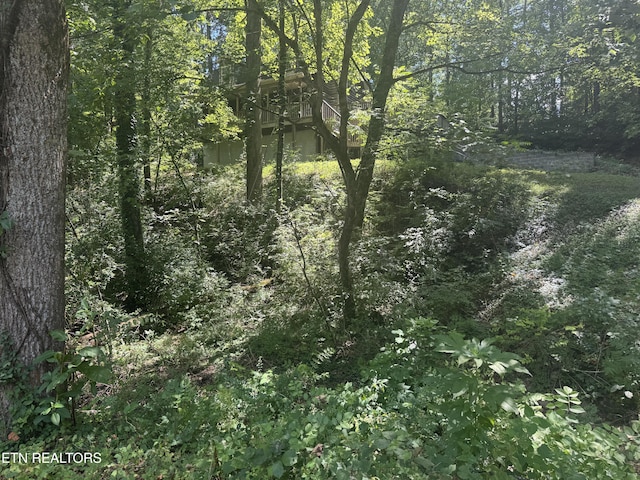 6001 Wilkerson Rd, Knoxville, TN 37912 - photo 37