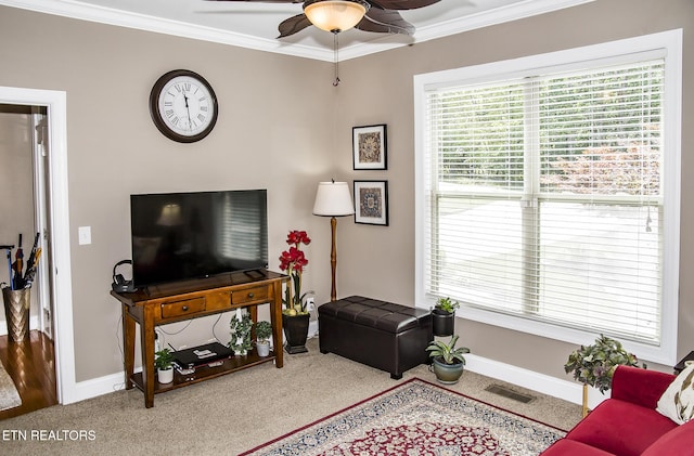 110 Lisa Ln, Crossville, TN 38558 - photo 50
